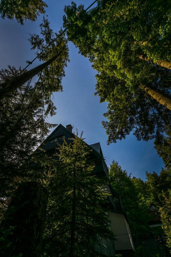 Hotel Smart Sinaia Exteriör bild