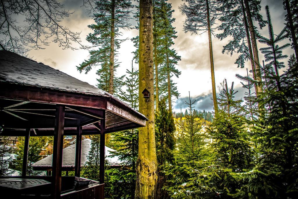 Hotel Smart Sinaia Exteriör bild